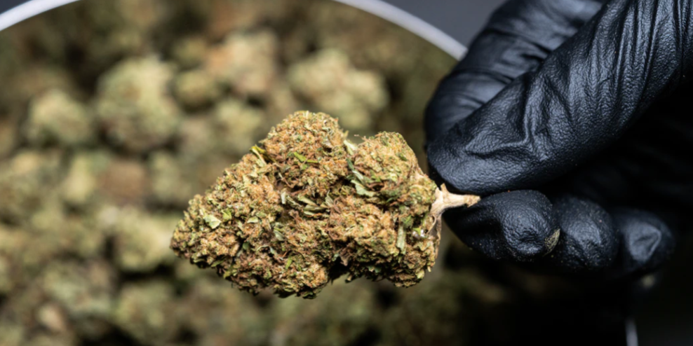 Screenshot 2021-03-23 at 15.31.10