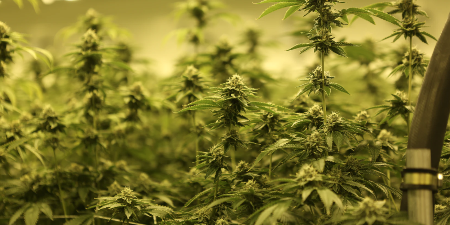 Screenshot 2021-04-09 at 11.11.37