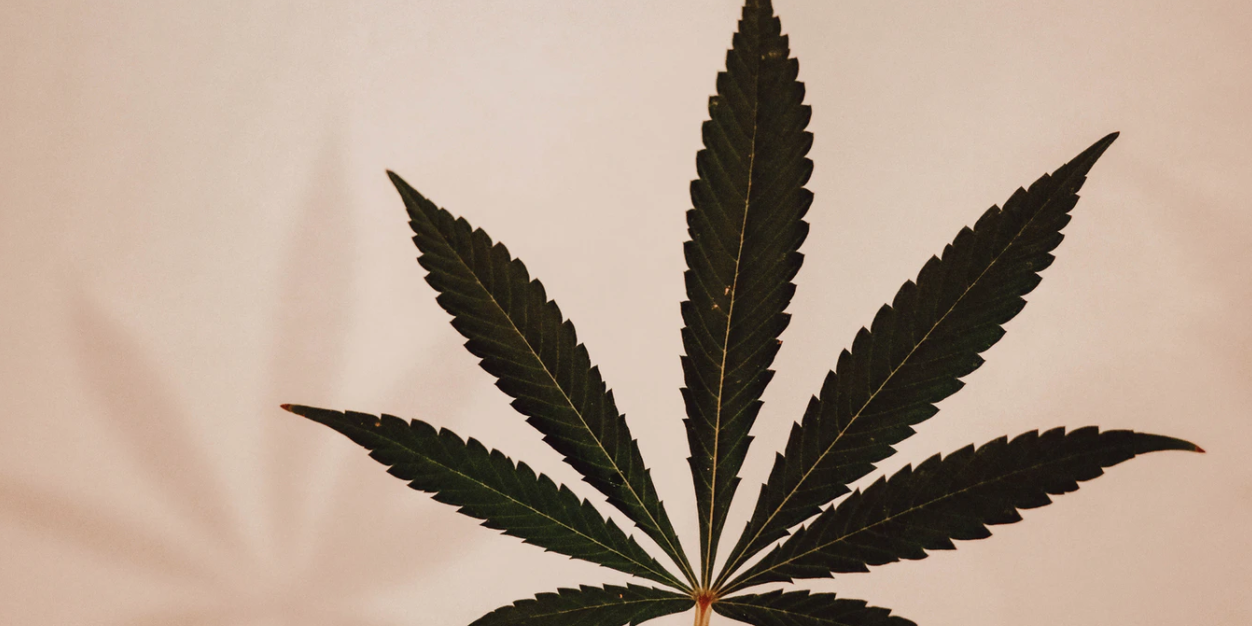 Screenshot 2021-04-13 at 10.51.07