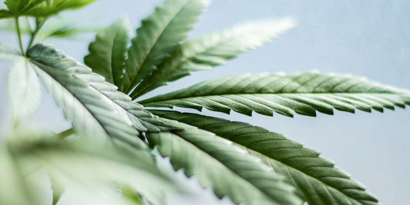 Screenshot 2021-04-16 at 13.38.28