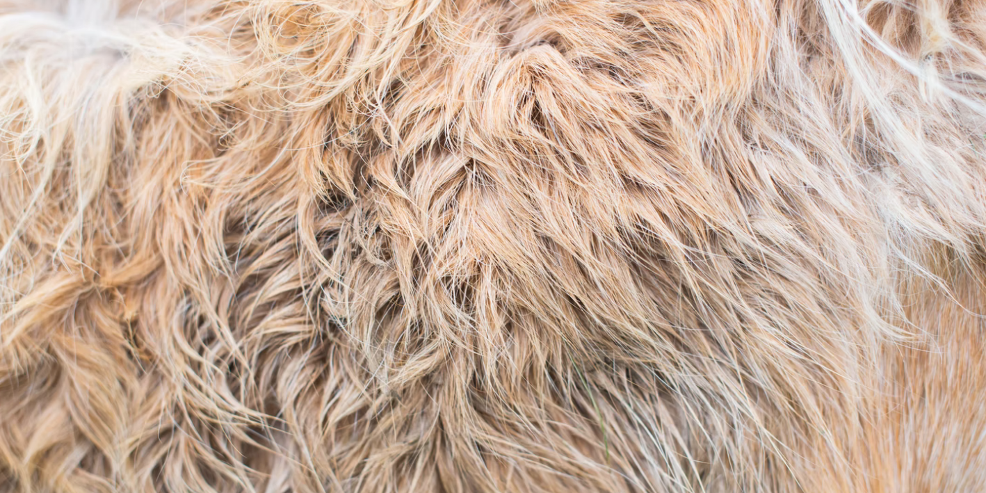 Screenshot 2021-10-11 at 15.53.03