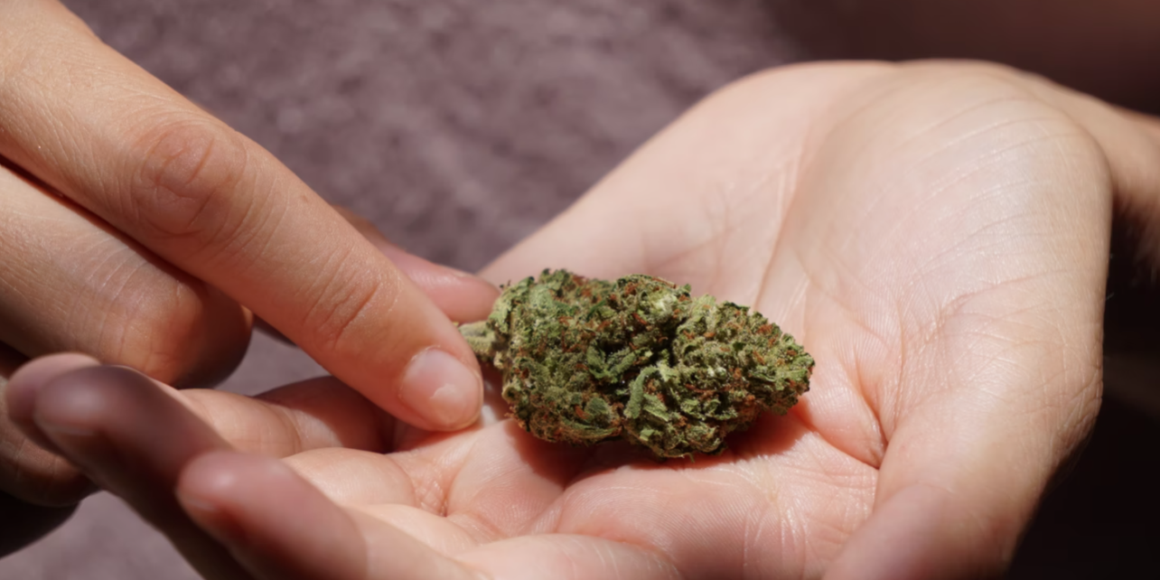 Screenshot 2021-12-10 at 13.11.15