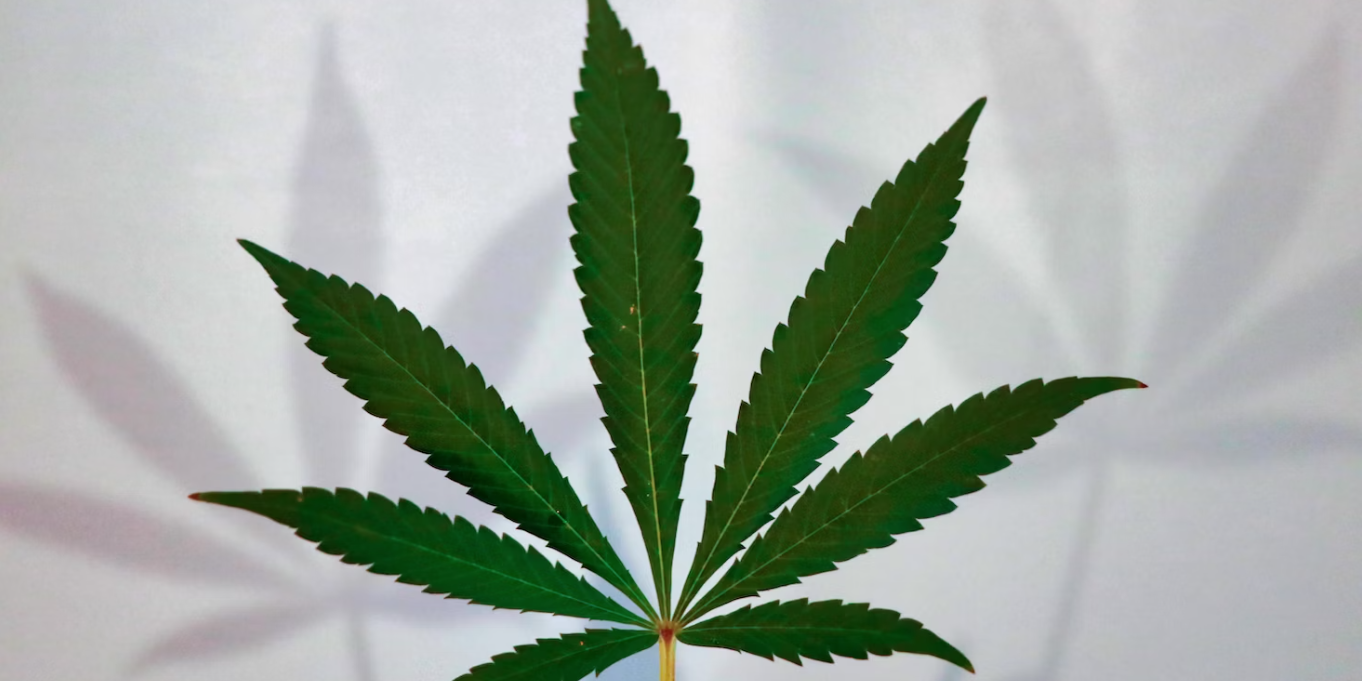 Screenshot 2023-06-02 at 10.57.06