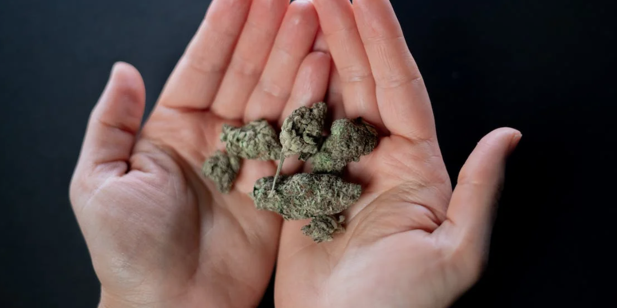 Screenshot 2023-07-21 at 12.56.12